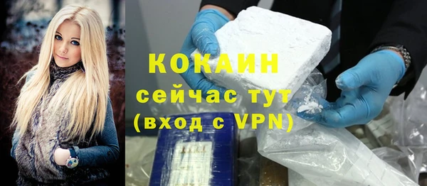тгк Богородицк